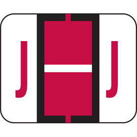 1009J