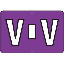 8621V